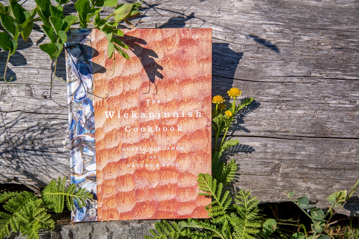A cookbook titled